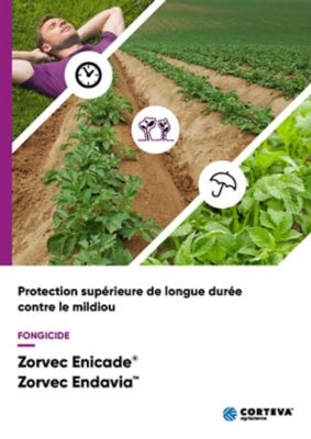 Zorvec brochure 2021